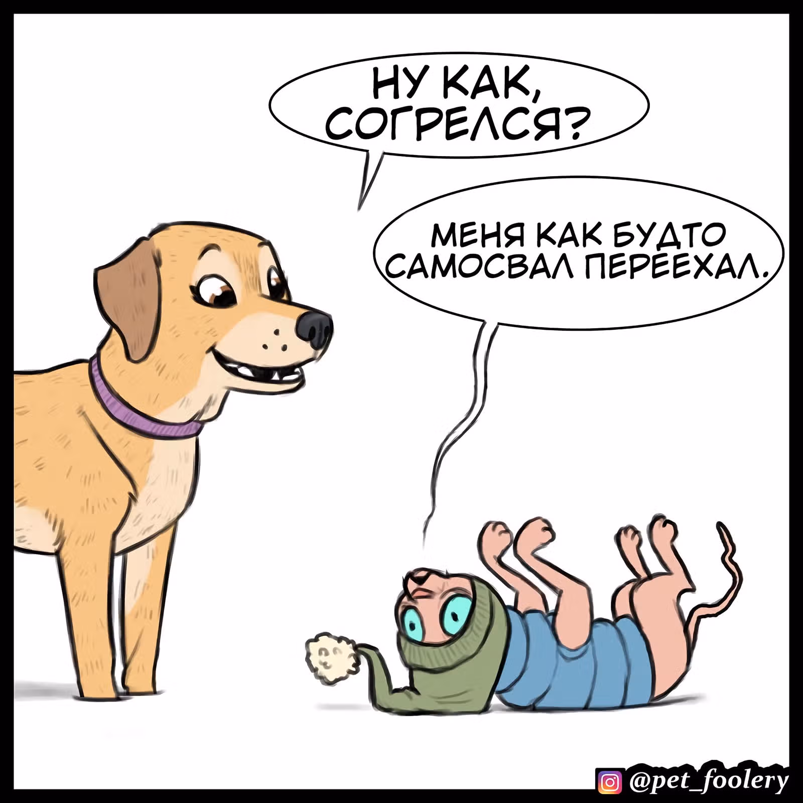Брут и Пикси — Том 1 · Глава 84, страница 10