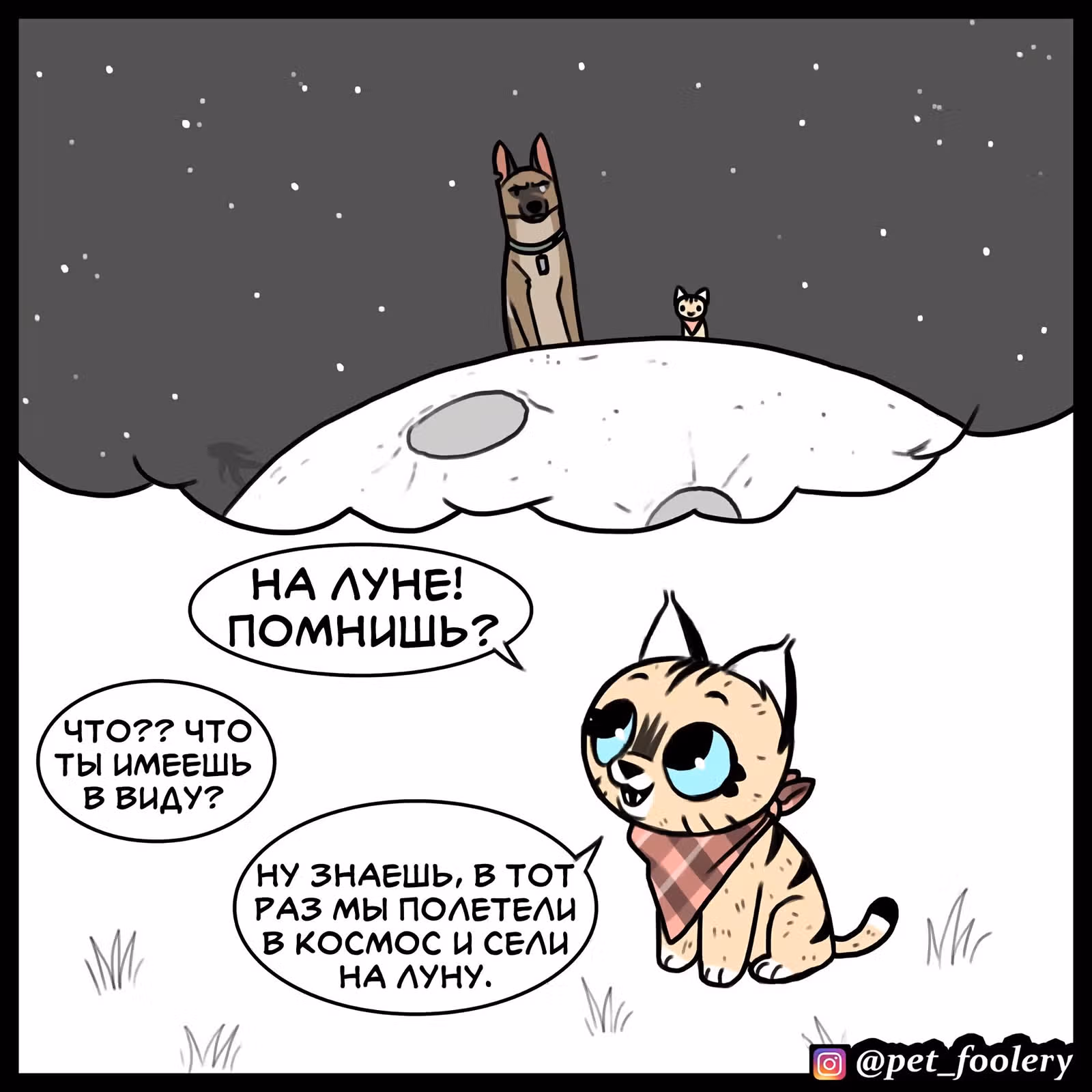 Брут и Пикси — Том 1 · Глава 89, страница 2