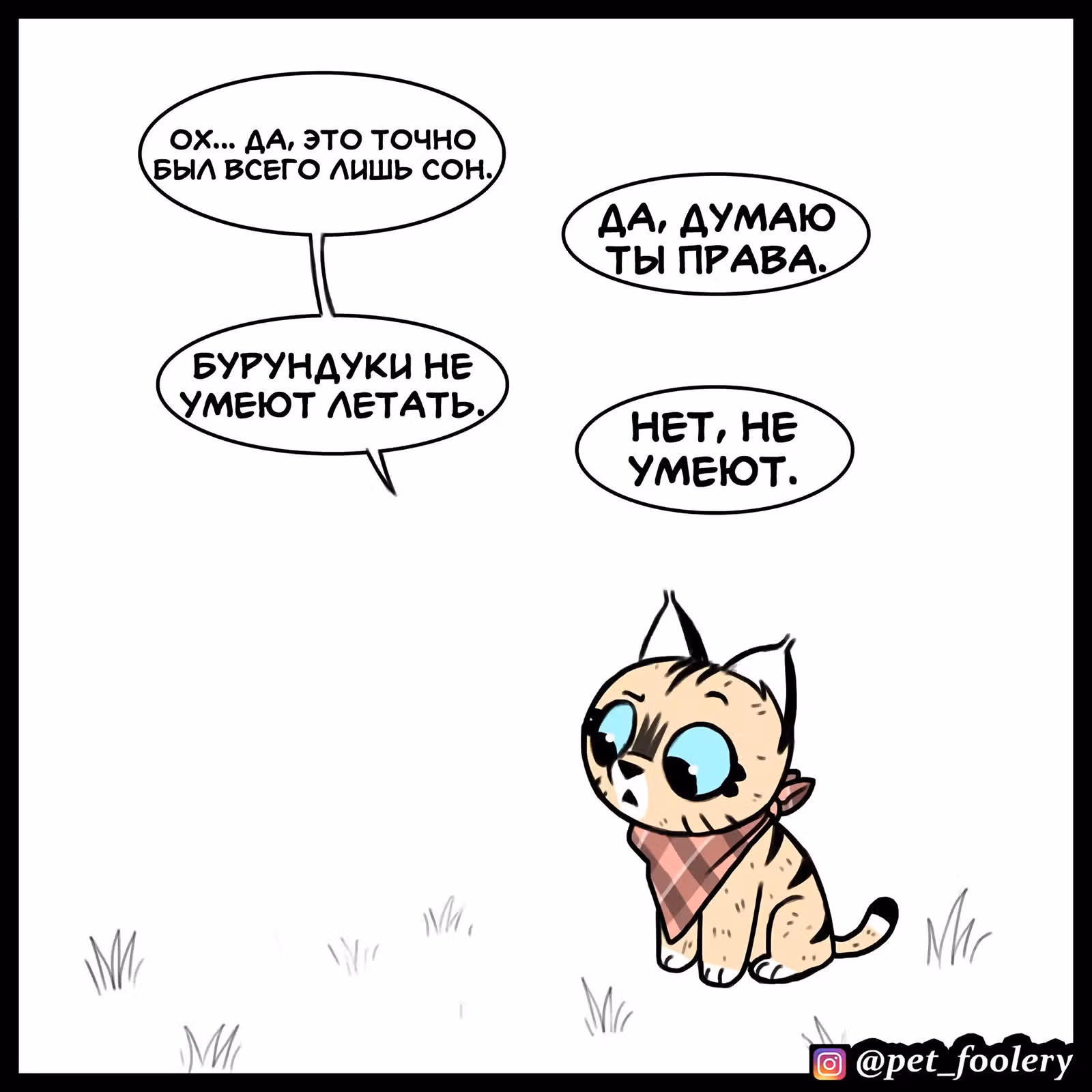 Брут и Пикси — Том 1 · Глава 89, страница 5