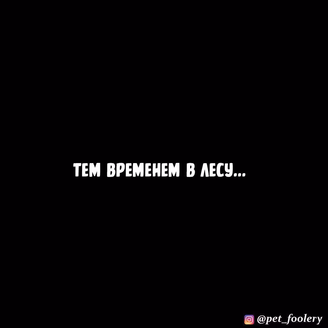 Брут и Пикси — Том 1 · Глава 89.3, страница 6