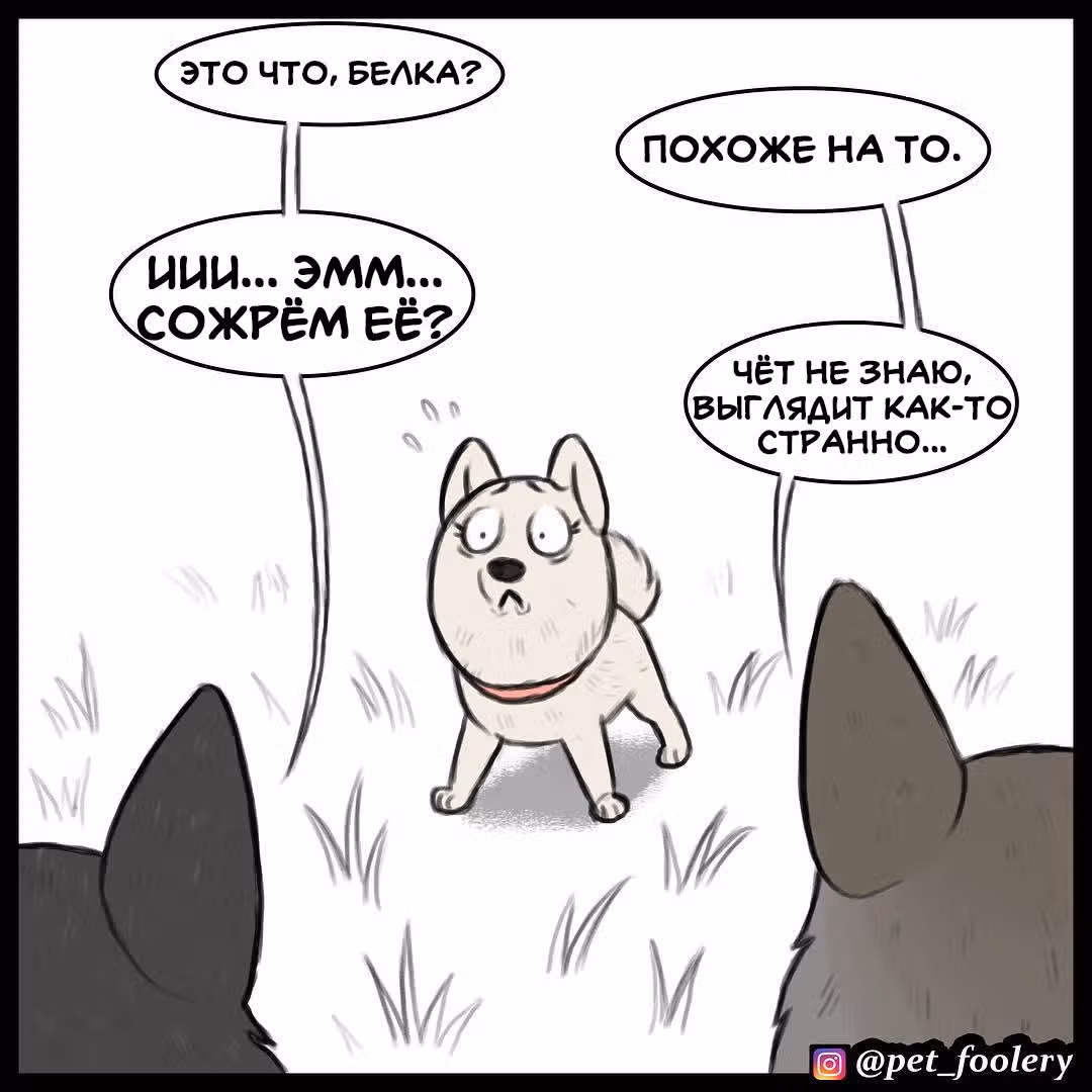 Брут и Пикси — Том 1 · Глава 89.3, страница 7