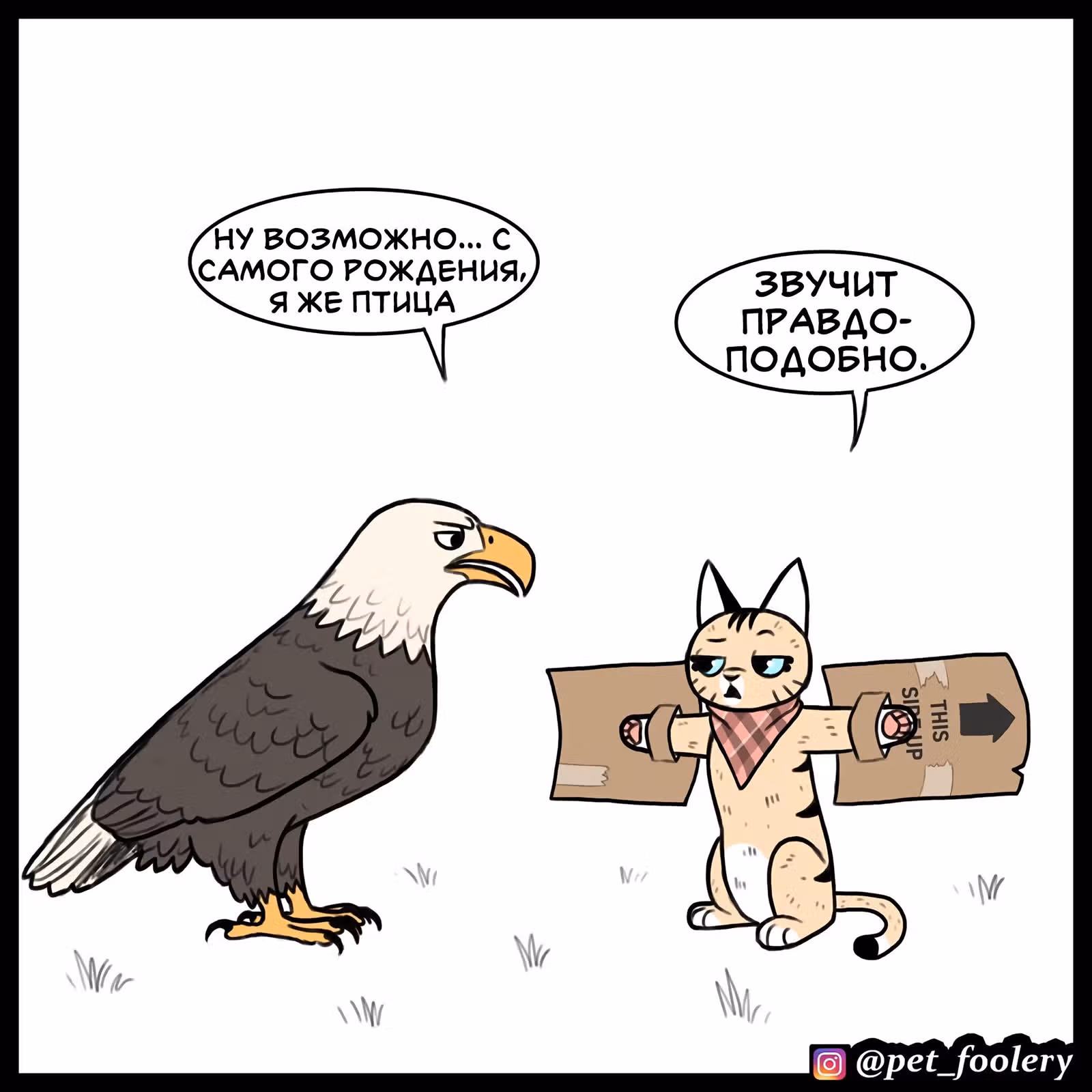 Брут и Пикси — Том 1 · Глава 90, страница 3