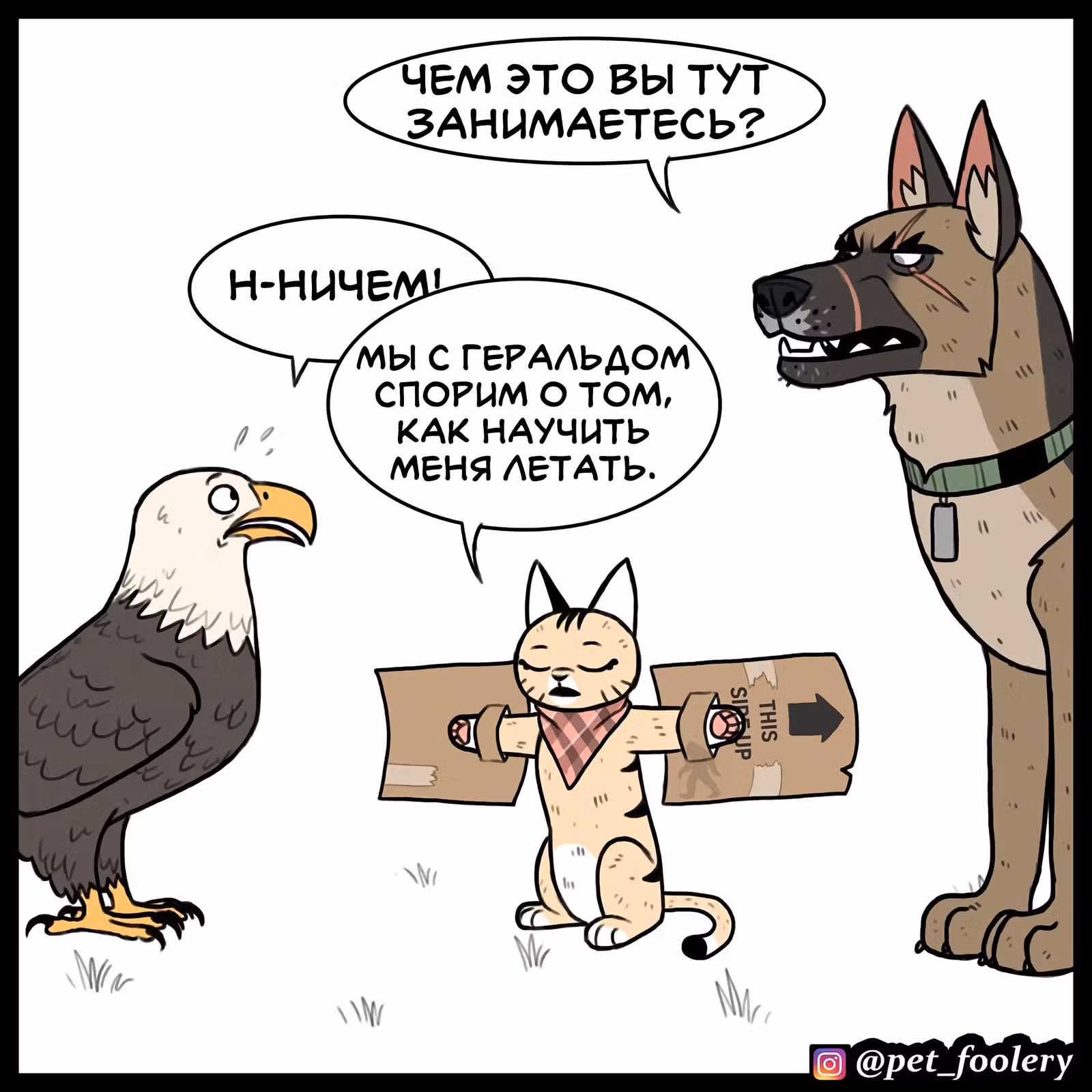 Брут и Пикси — Том 1 · Глава 90, страница 4