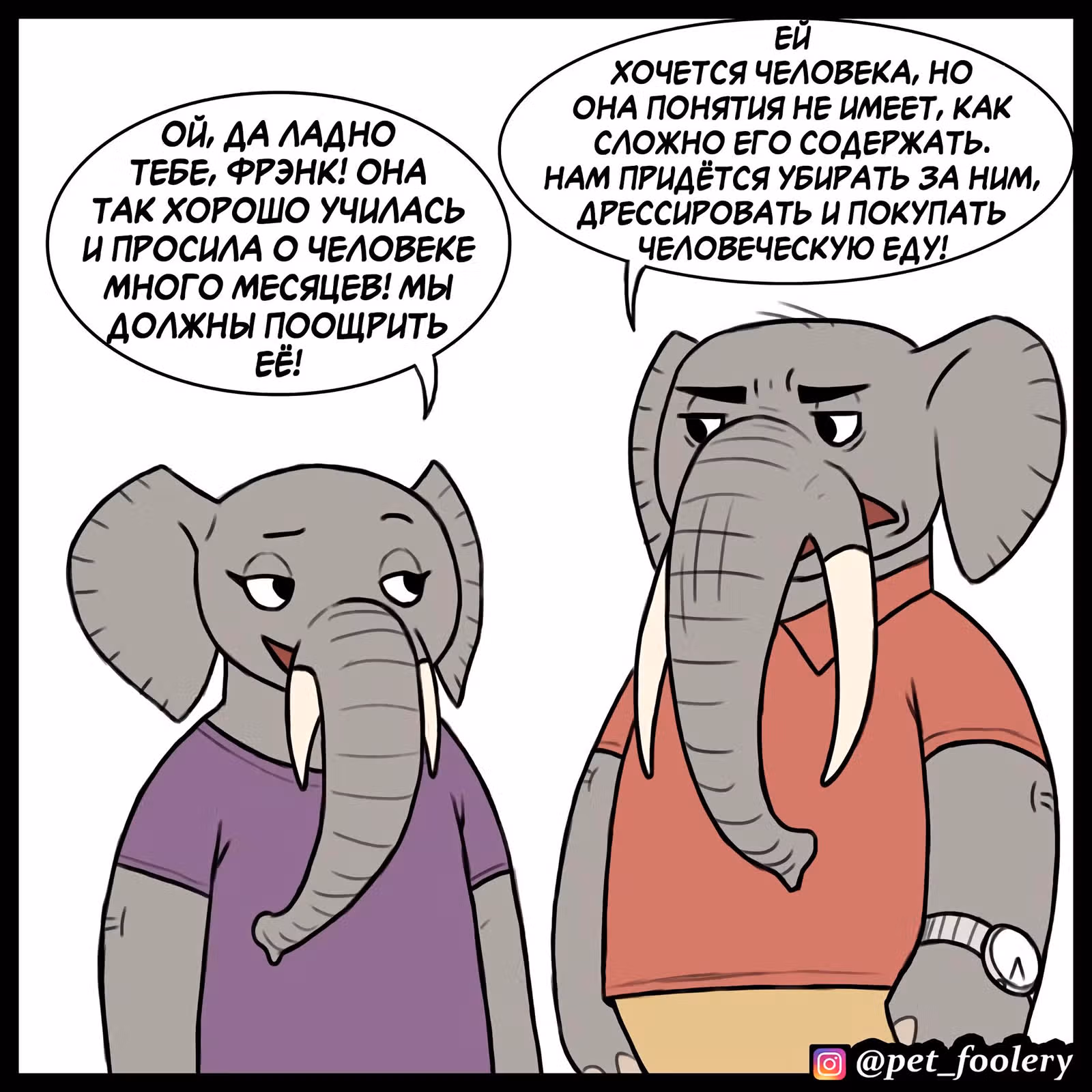 Брут и Пикси — Том 1 · Глава 91.4, страница 3