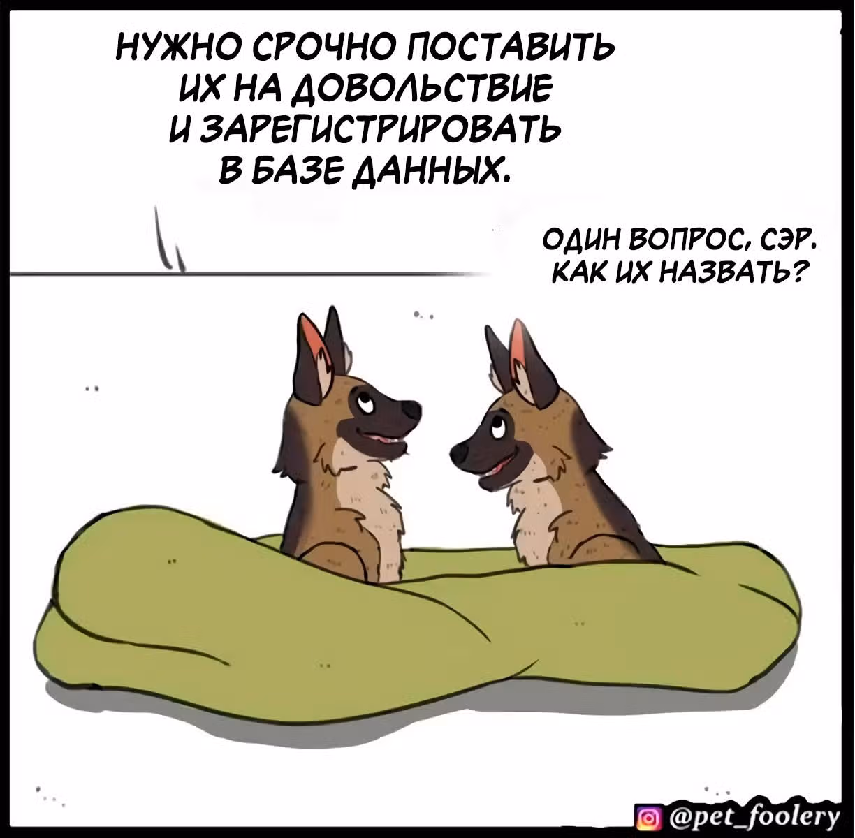 Брут и Пикси — Том 1 · Глава 92.2, страница 5
