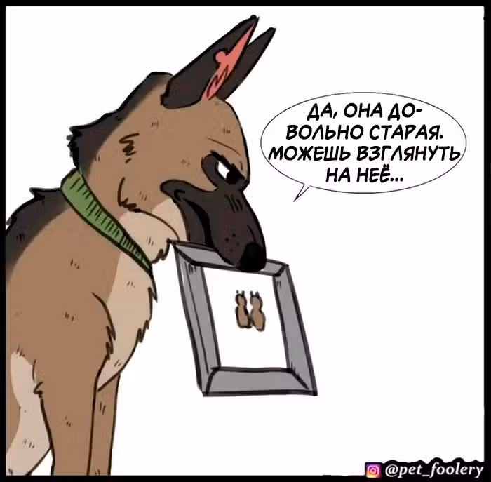 Брут и Пикси — Том 1 · Глава 92.3, страница 4