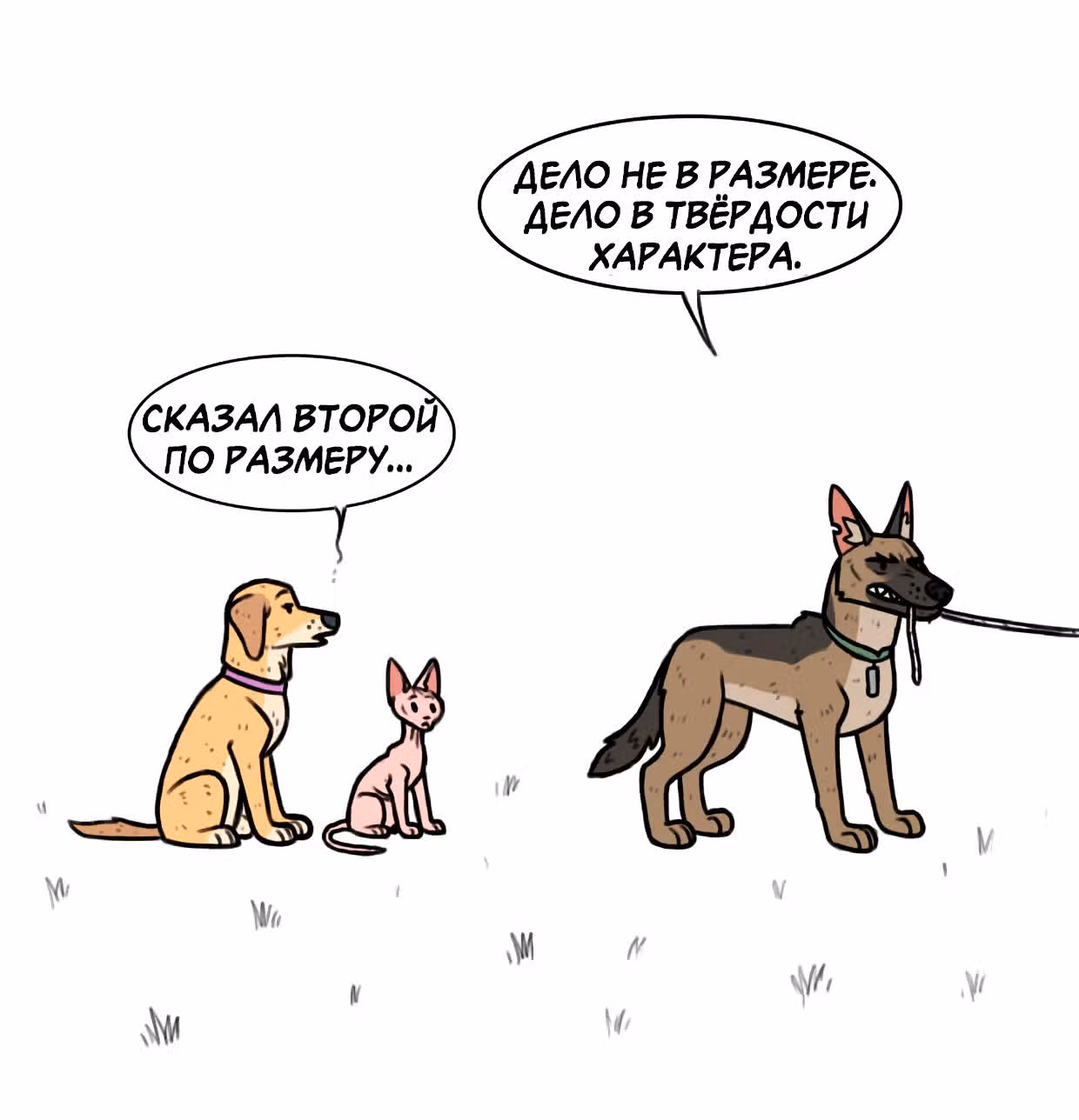 Брут и Пикси — Том 1 · Глава 97, страница 5