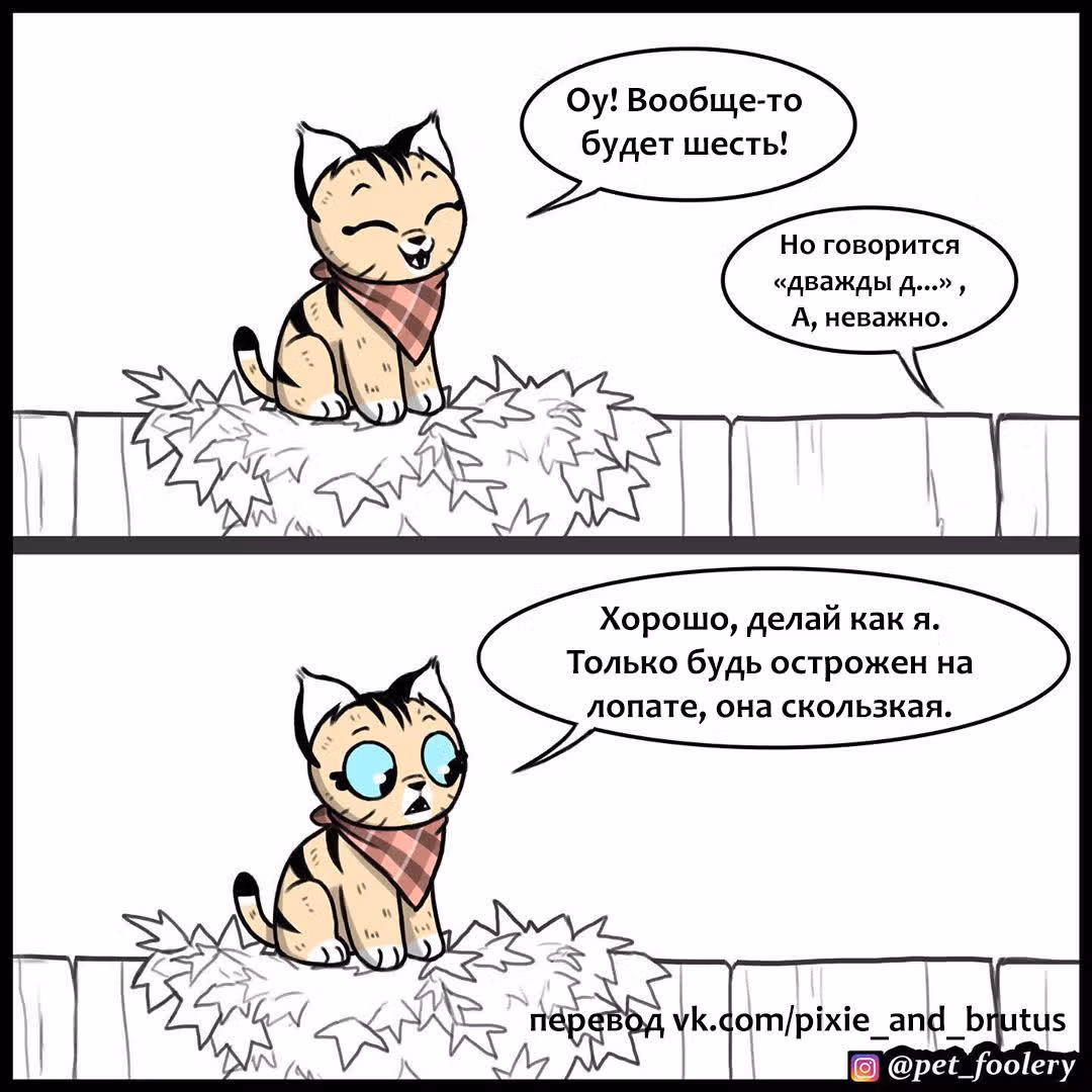Брут и Пикси — Том 1 · Глава 129, страница 5