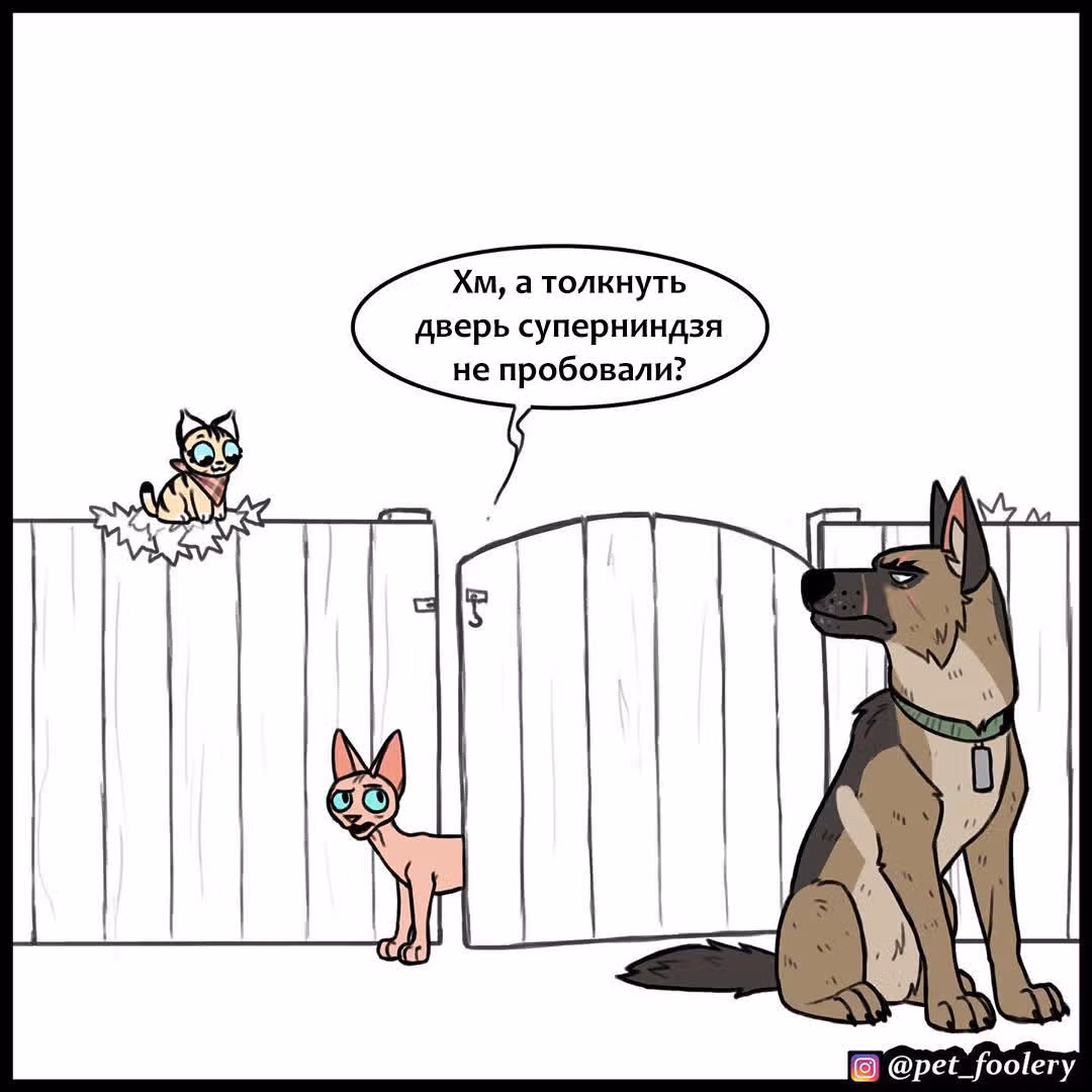Брут и Пикси — Том 1 · Глава 129, страница 9