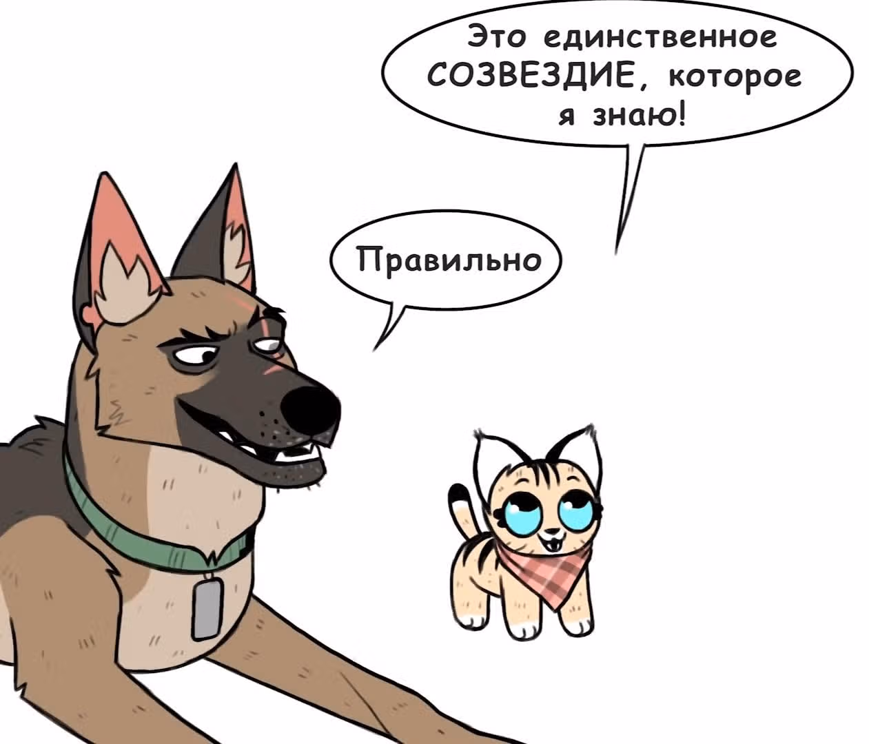 Брут и Пикси — Том 1 · Глава 134, страница 7