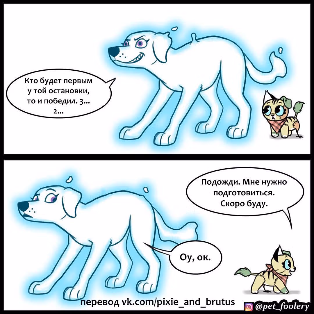 Брут и Пикси — Том 1 · Глава 137, страница 2