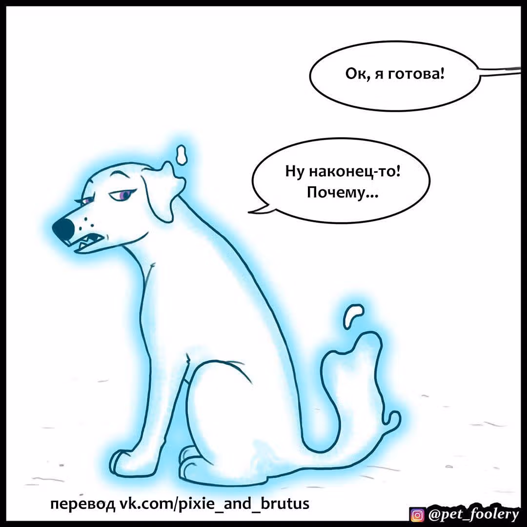 Брут и Пикси — Том 1 · Глава 137, страница 5