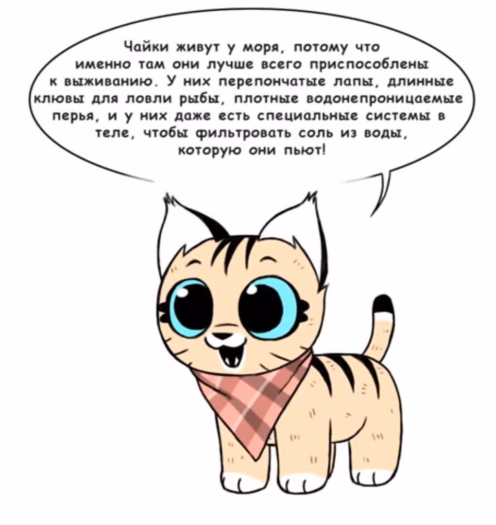 Брут и Пикси — Том 1 · Глава 141, страница 3