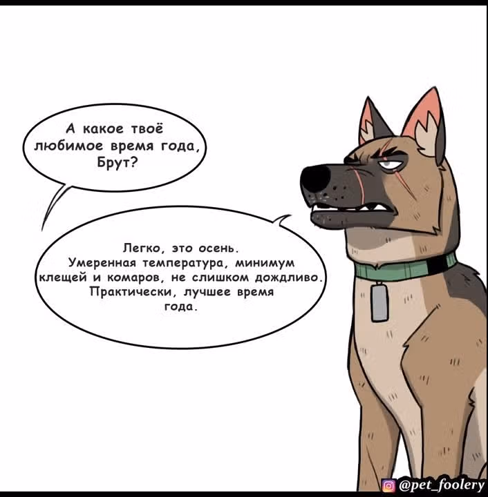 Брут и Пикси — Том 1 · Глава 144, страница 4