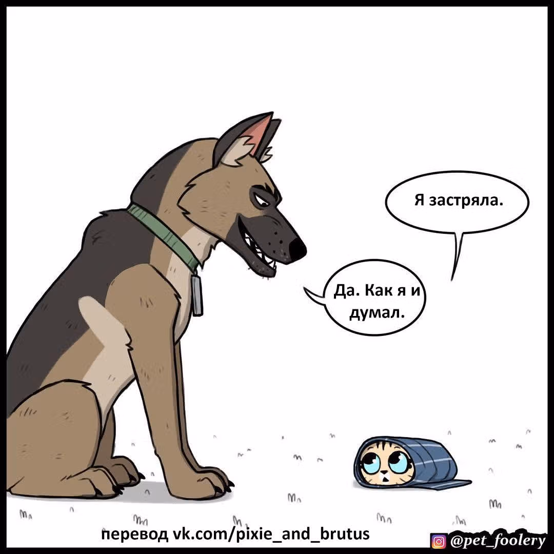 Брут и Пикси — Том 1 · Глава 145, страница 6