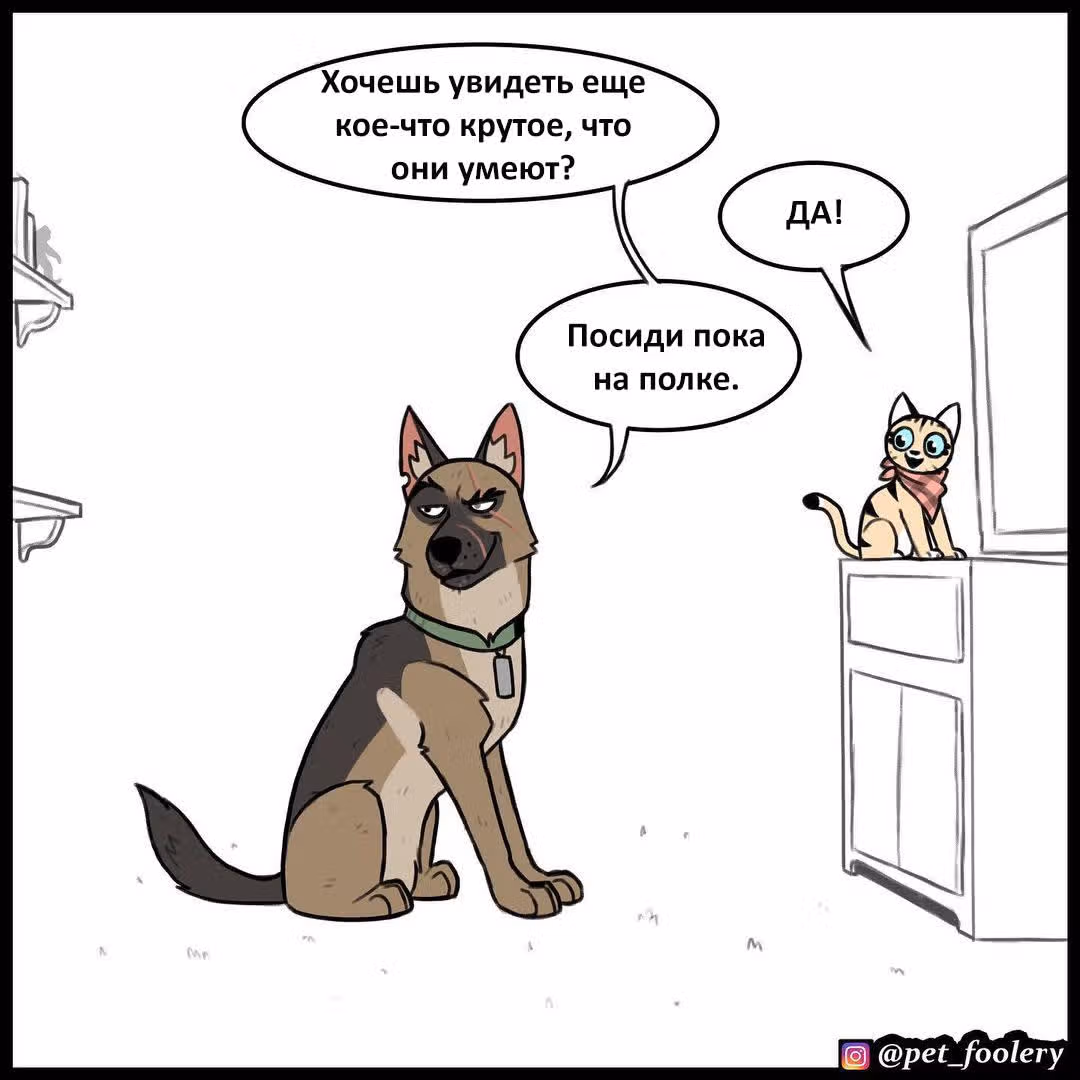 Брут и Пикси — Том 1 · Глава 146, страница 3