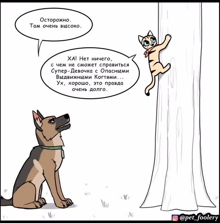 Брут и Пикси — Том 1 · Глава 147, страница 4