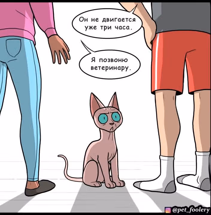 Брут и Пикси — Том 1 · Глава 148, страница 6