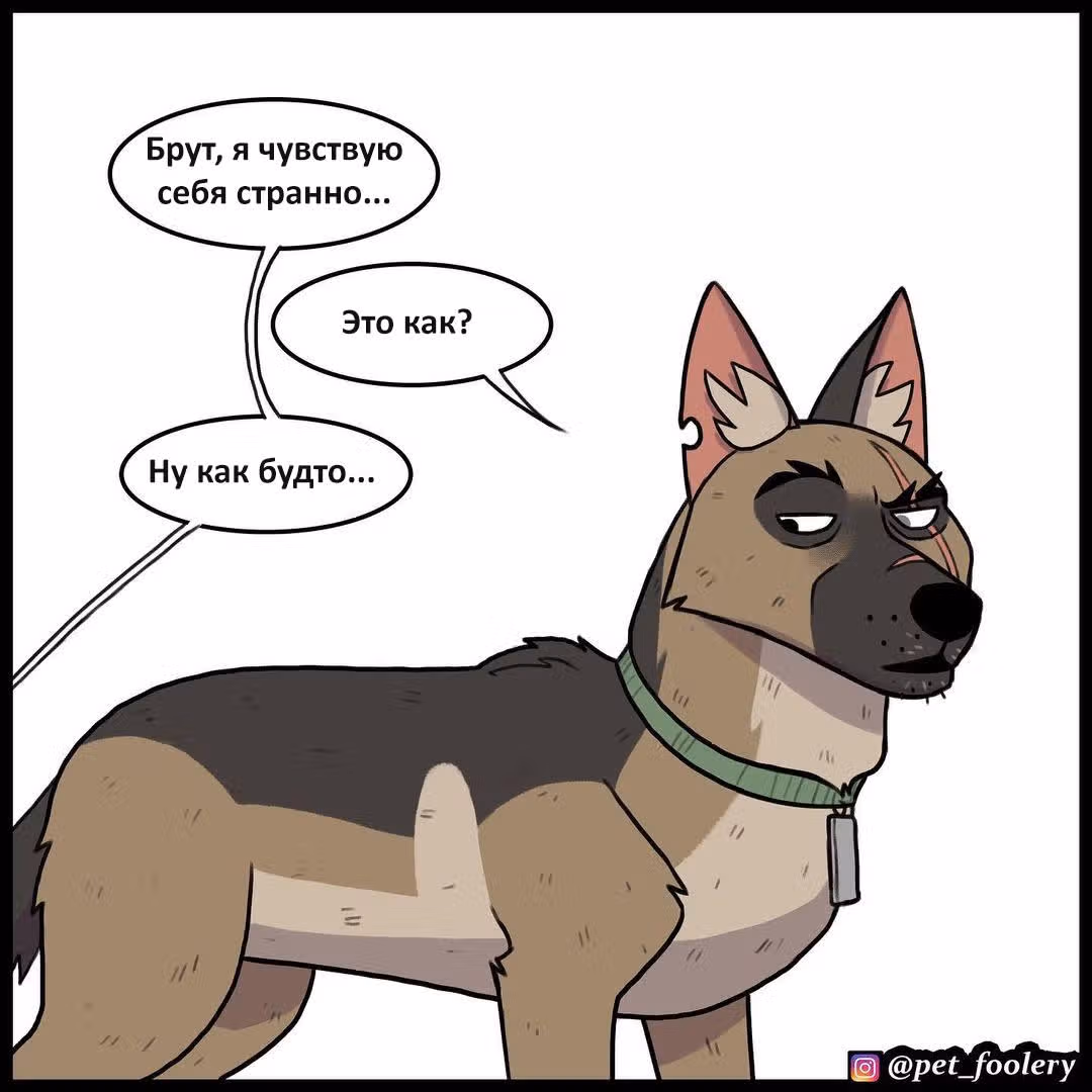 Брут и Пикси — Том 1 · Глава 149, страница 1
