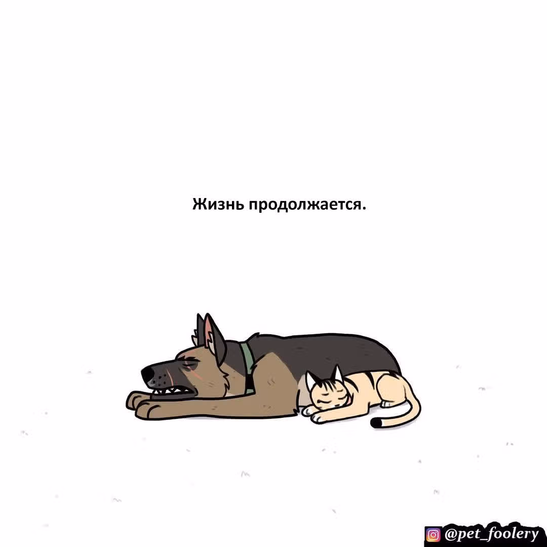 Брут и Пикси — Том 1 · Глава 150, страница 15