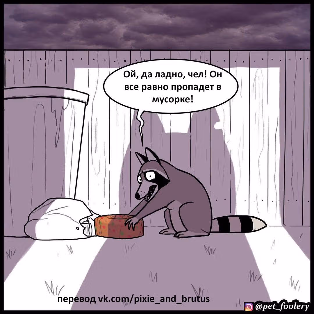 Брут и Пикси — Том 1 · Глава 152, страница 5