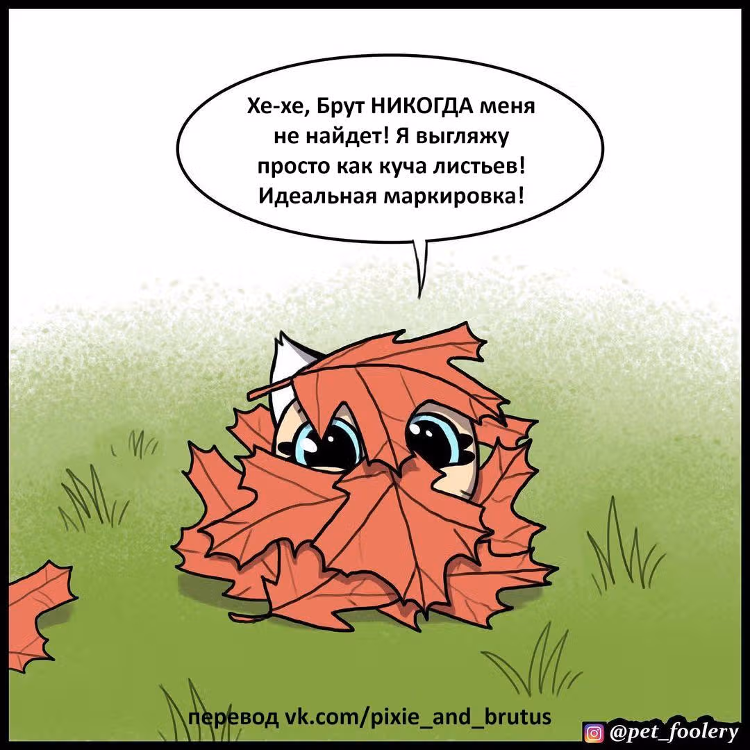 Брут и Пикси — Том 1 · Глава 157, страница 4