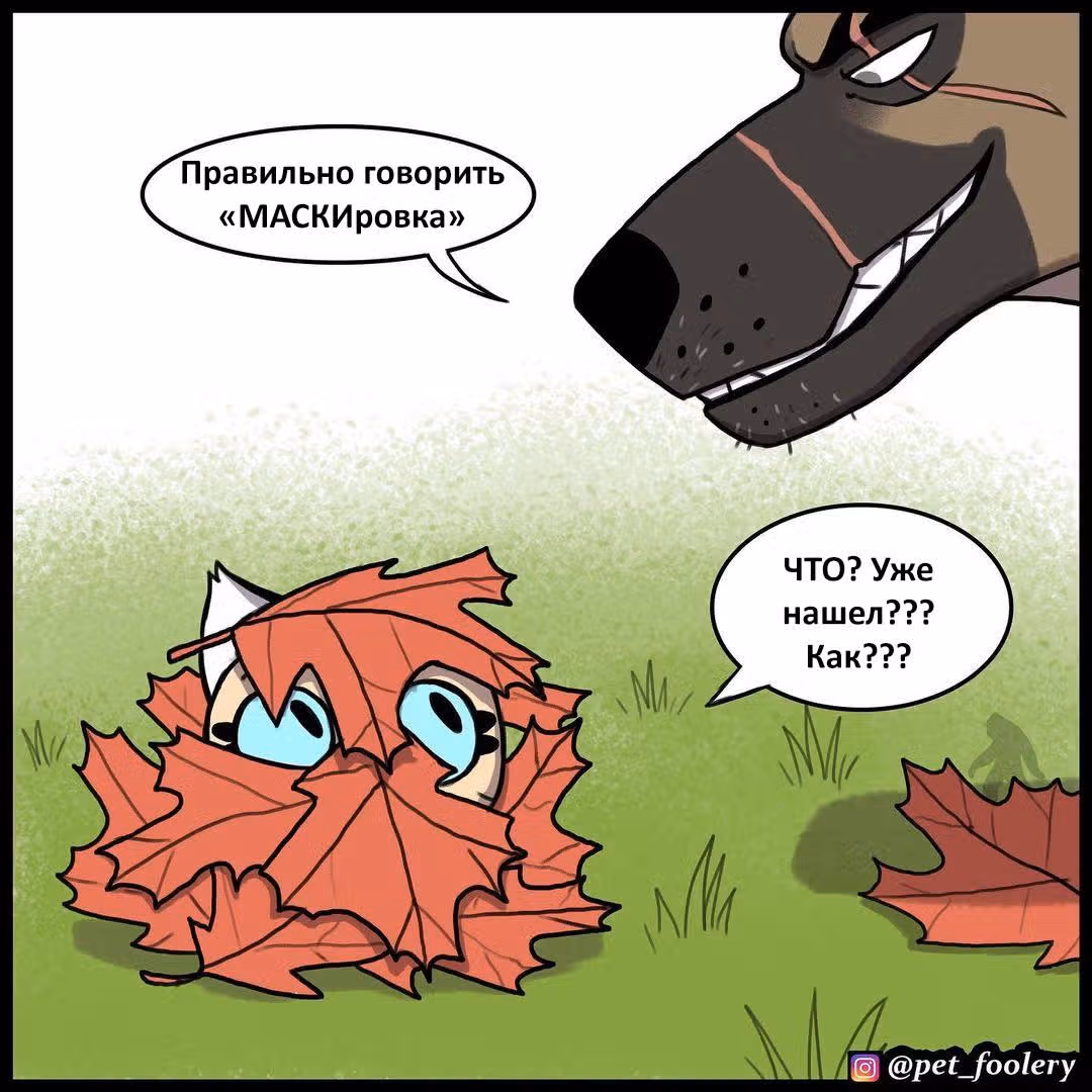 Брут и Пикси — Том 1 · Глава 157, страница 5