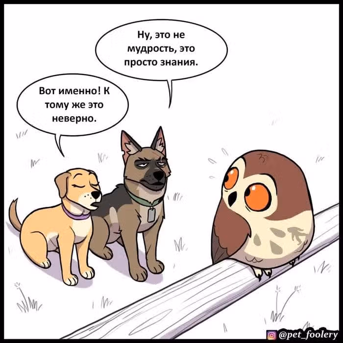 Брут и Пикси — Том 1 · Глава 167, страница 5