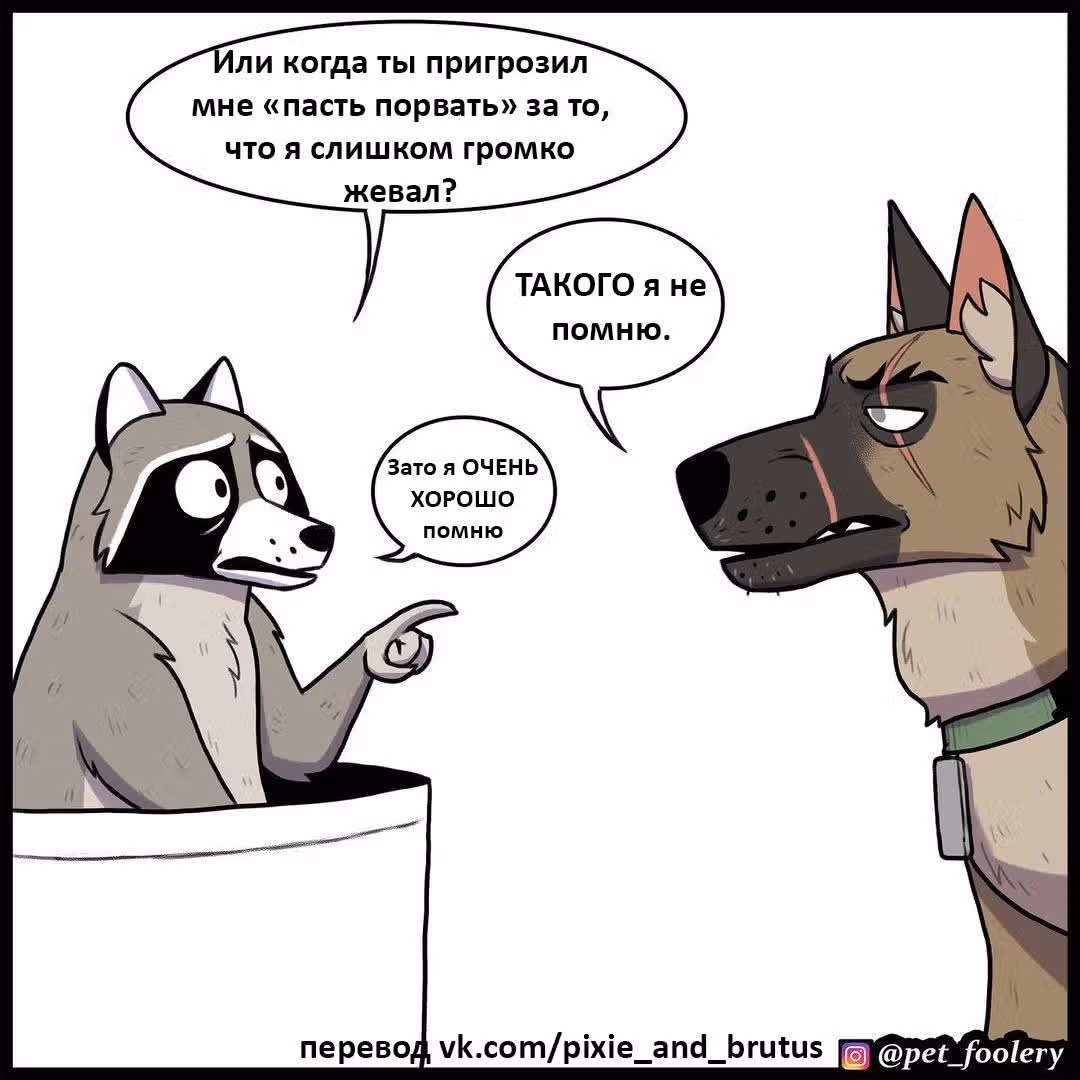 Брут и Пикси — Том 1 · Глава 172, страница 4