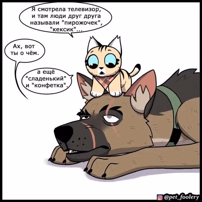 Брут и Пикси — Том 1 · Глава 178, страница 2