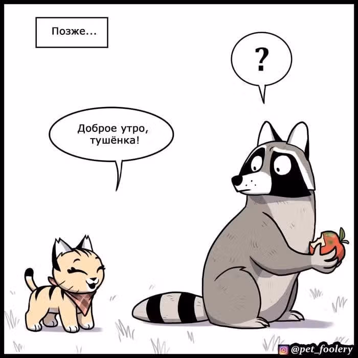 Брут и Пикси — Том 1 · Глава 178, страница 5
