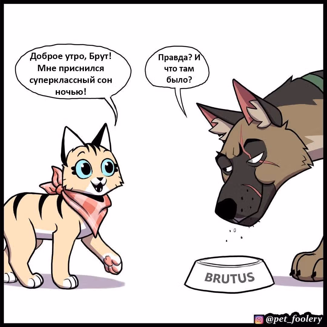 Брут и Пикси — Том 1 · Глава 181, страница 1