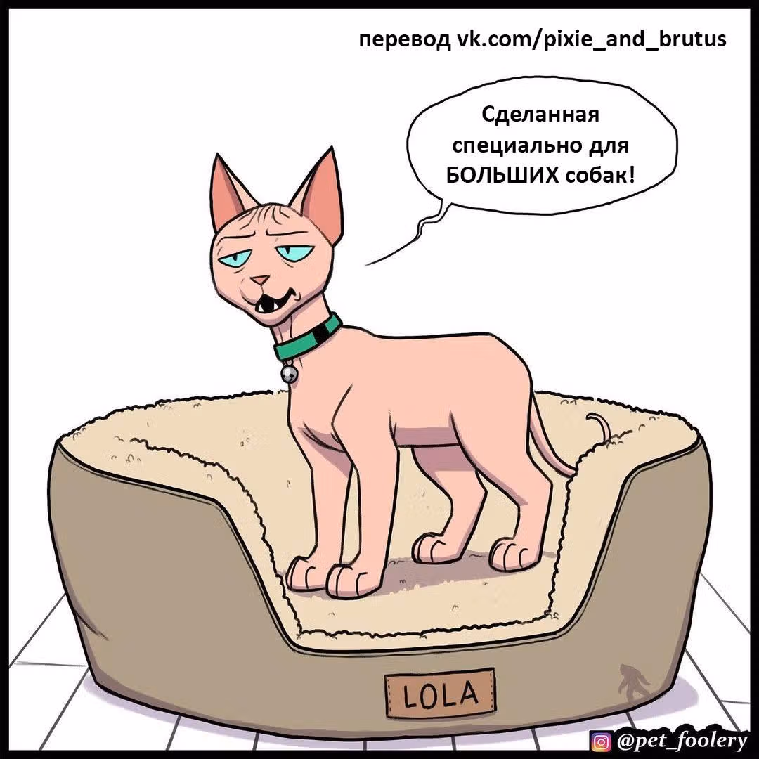 Брут и Пикси — Том 1 · Глава 186, страница 2