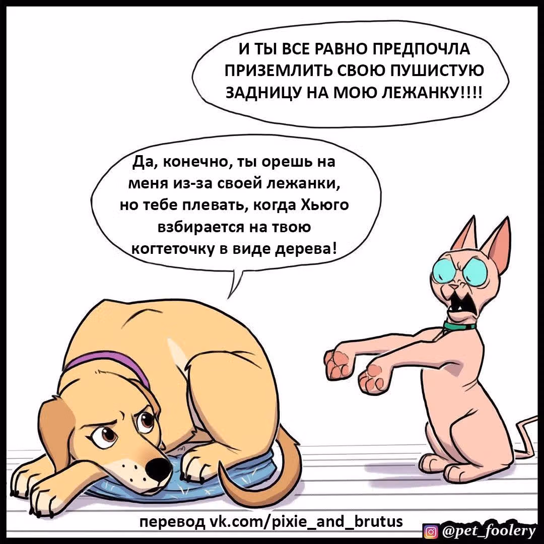Брут и Пикси — Том 1 · Глава 186, страница 4