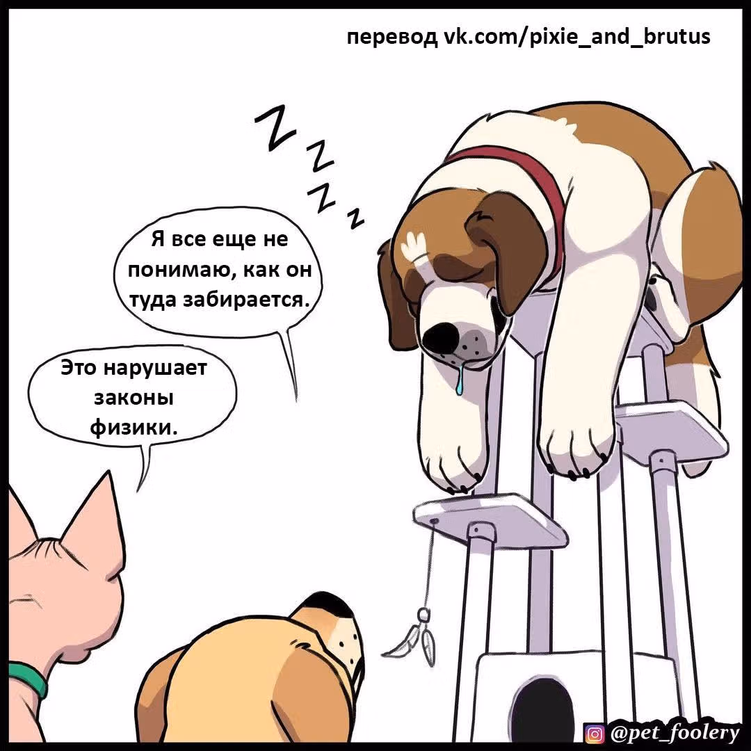 Брут и Пикси — Том 1 · Глава 186, страница 6