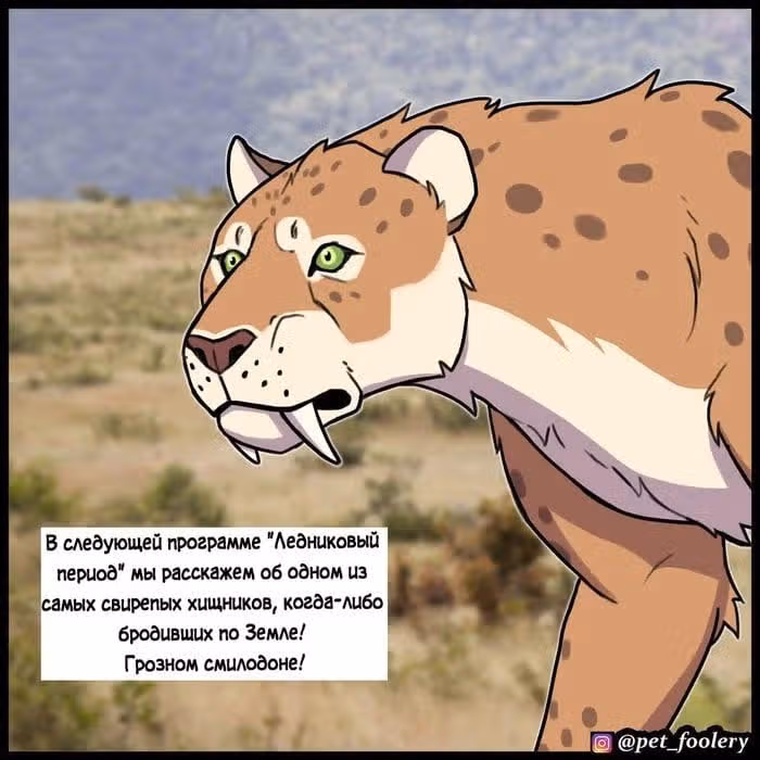 Брут и Пикси — Том 1 · Глава 189, страница 1