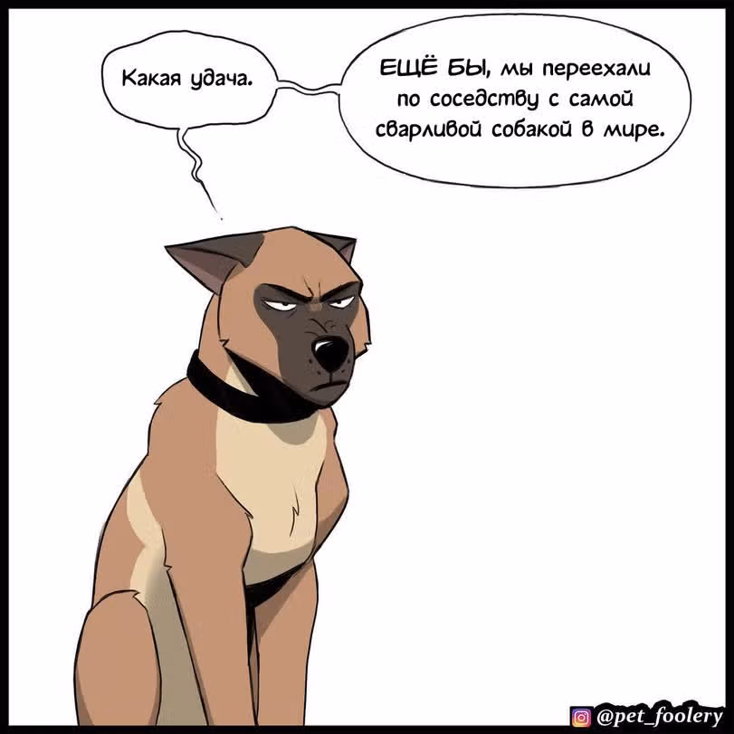Брут и Пикси — Том 1 · Глава 231, страница 4