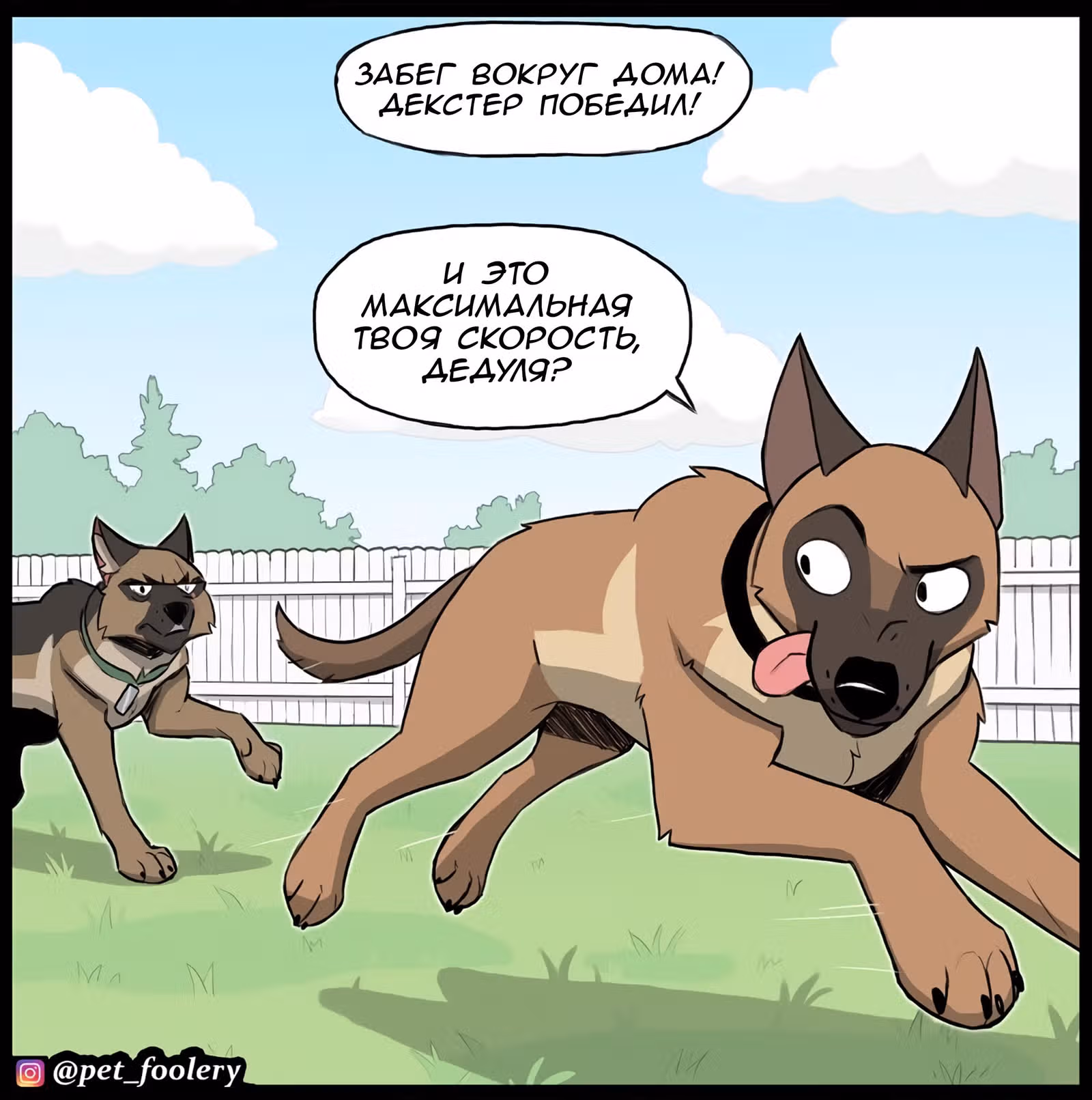 Брут и Пикси — Том 1 · Глава 240, страница 3
