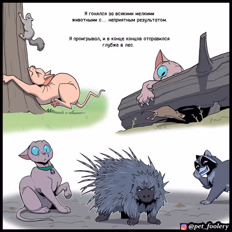 Брут и Пикси — Том 1 · Глава 281, страница 5