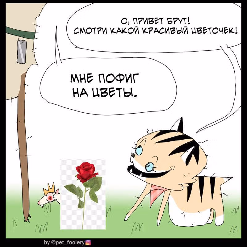 Брут и Пикси — Том 1 · Глава 286, страница 5