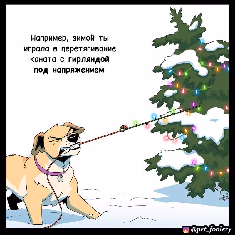 Брут и Пикси — Том 1 · Глава 307, страница 2