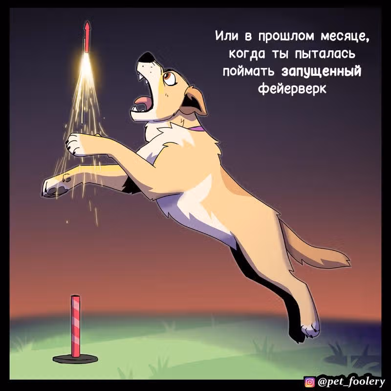 Брут и Пикси — Том 1 · Глава 307, страница 3
