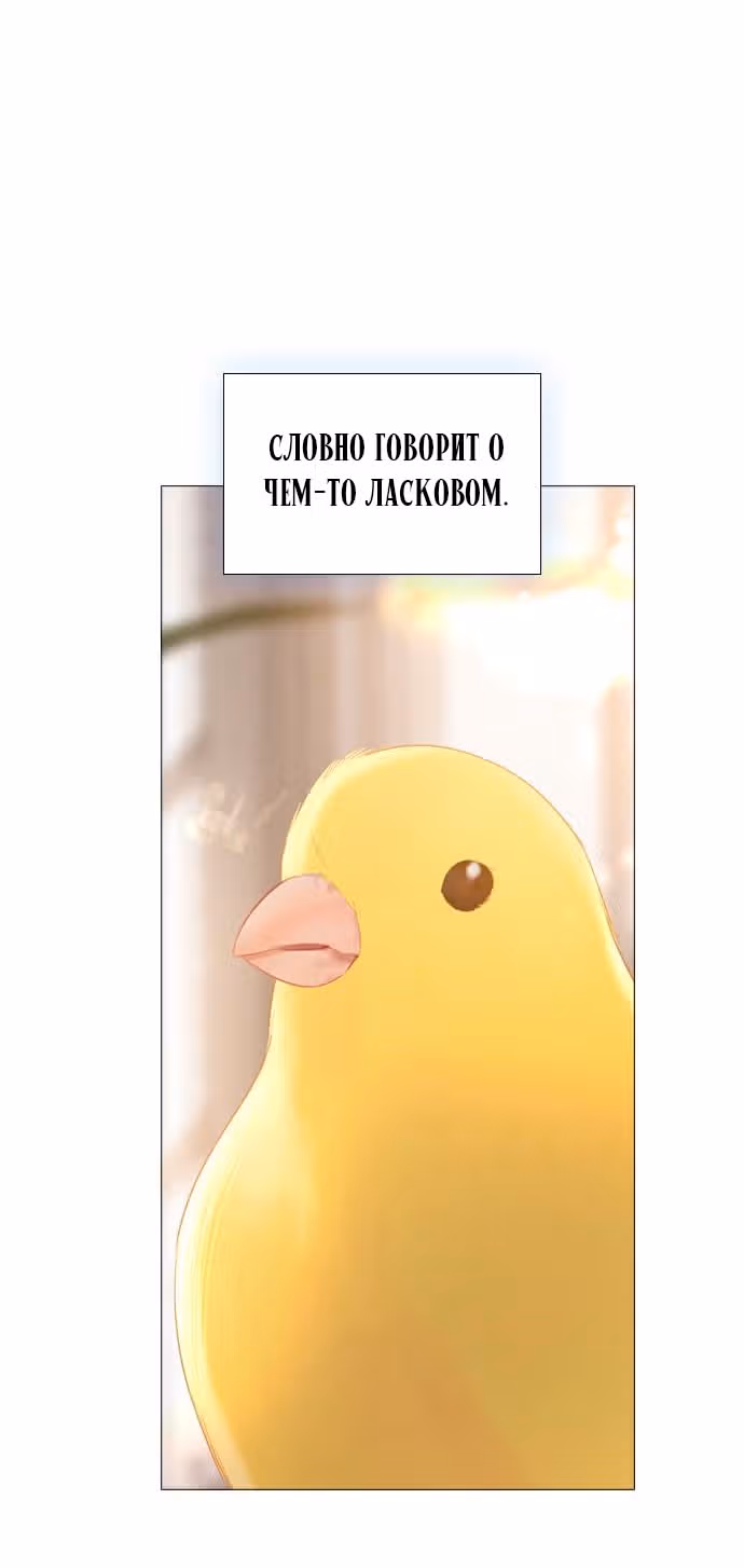 Плачь, а лучше умоляй — Том 1 · Глава 16, страница 55