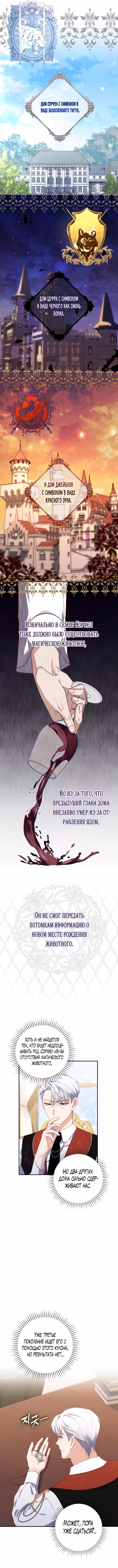 Принцесса-гадалка — Том 1 · Глава 11, страница 4