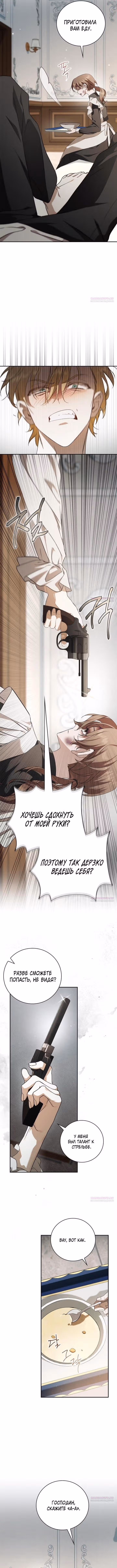 Тайная служанка графа — Том 1 · Глава 4, страница 11