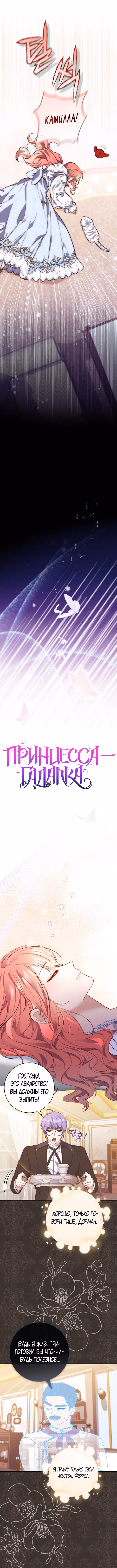 Принцесса-гадалка — Том 1 · Глава 23, страница 5