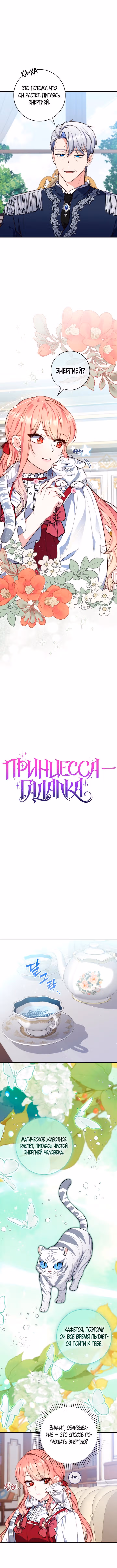 Принцесса-гадалка — Том 1 · Глава 24, страница 2